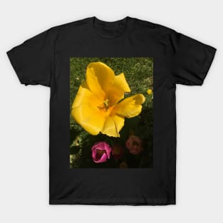 Big Yellow Tulip T-Shirt